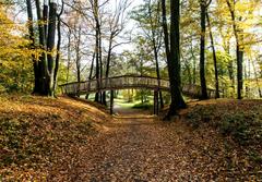 Knüppelbrücke in Jenischpark, Hamburg