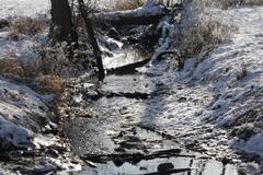 Flottbek river in winter