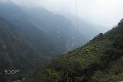 Scenic rice terraces in Chomrong, Nepal with lush green fields and mountains in the background