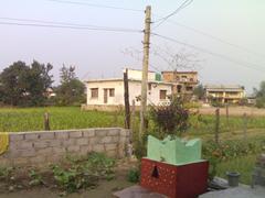 Shiva's House in front of a road