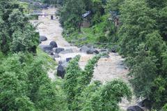 Bagmati River in spring