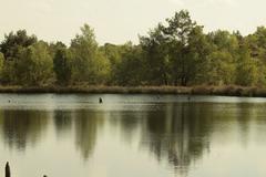 Moorteich in the Venner Moor nature reserve near Senden, Westphalia