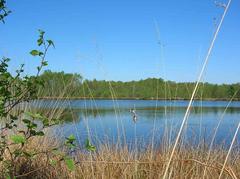 Small lake in the Davert moor near the Dortmund-Ems Canal