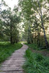 Venner Moor nature reserve landscape