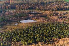 Venner Moor protected area landscape