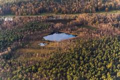 Senden Venner Moor nature reserve