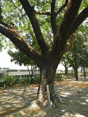 Bantayog ng mga Bayani Museum