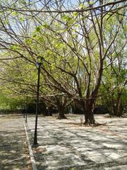 Bantayog ng mga Bayani Museum and Heroes Monument