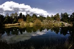 Alpine lake with a reflection of trees in Munich Botanic Garden