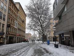 Tree on Kaufingerstraße near Marienplatz