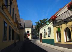 Die Himmelstraße in Grinzing panoramic view