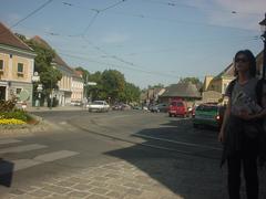 Grinzing town view with traditional Austrian houses and vineyards