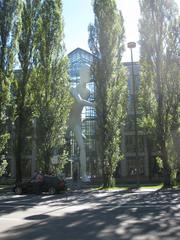 man walking on Leopold Street in Munich