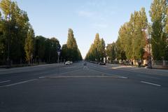 View of Leopoldstraße from Victory Gate in Munich