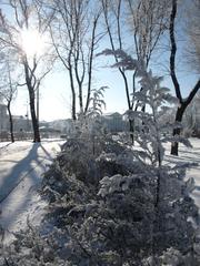 natural heritage site in Ukraine