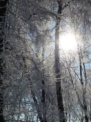 natural heritage site in Ukraine