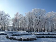 Natural heritage site in Poltava, Ukraine during winter with the sun shining