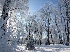 Natural heritage site in winter, Ukraine