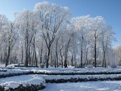 Winter sunny park in Ukraine