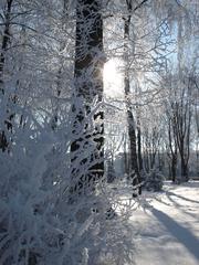 Kazkoviy Sad in Poltava, Ukraine