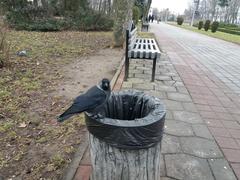 Korpusnyi Garden in Poltava, Ukraine under a clear sky