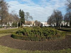 Korpusnyi Garden in Ukraine on a winter day