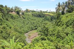 Tegenungan Waterfall in Ubud, Indonesia