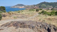 Scenic view of Collioure with colorful buildings and a waterfront