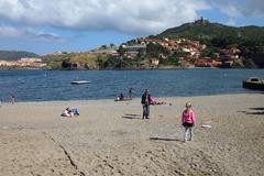 Collioure harbor with colorful buildings and boats