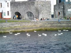 Spanish Arch and swans, Galway, Ireland