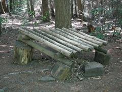 Baumstammxylophon im Wildpark Pforzheim