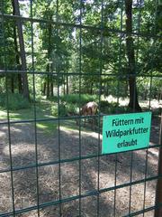 Feeding permission sign at an enclosure in Pforzheim Wildlife Park