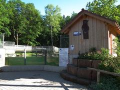 Eurasian otter enclosure in Wildpark Pforzheim