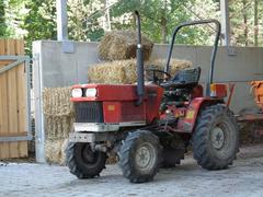 Red Shibaura tractor in Wildpark Pforzheim