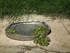 feeding bowl with grapes in Wildpark Pforzheim