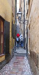 Old Town Stockholm panoramic view