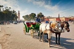 Carriage on Marrakesh Djemaa el Fna square