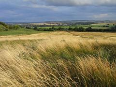 view south from Wittenham Clumps in Oxfordshire towards Berkshire Downs