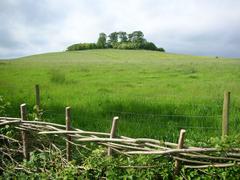 Round Hill in Wittenham Clumps, Oxfordshire, England