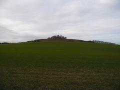 Sinodun Hill Camp in England