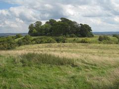 Castle Hill Iron Age hill fort