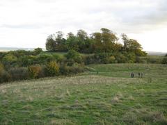 Wittenham Clumps with Castle Hill and Little Wittenham Wood