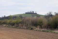 Wittenham Clumps landscape view