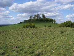 Wittenham Clumps view from Castle Hill to Round Hill