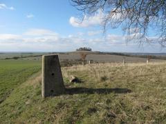 Triangulation pillar on Brightwell Barrow overlooking Wittenham Clumps hillfort