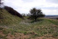 defensive ditch of former hill fort on Castle Hill