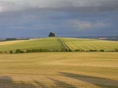 farmland view from Castle Hill Wittenham Clumps