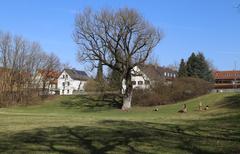 Pasinger Stadtpark in Munich