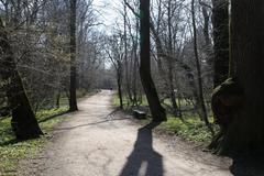 Pasinger Stadtpark, Munich