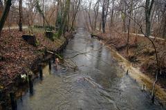 Stadtpark Pasing with river flowing through green landscape